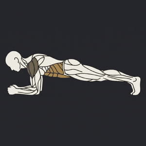 Plank